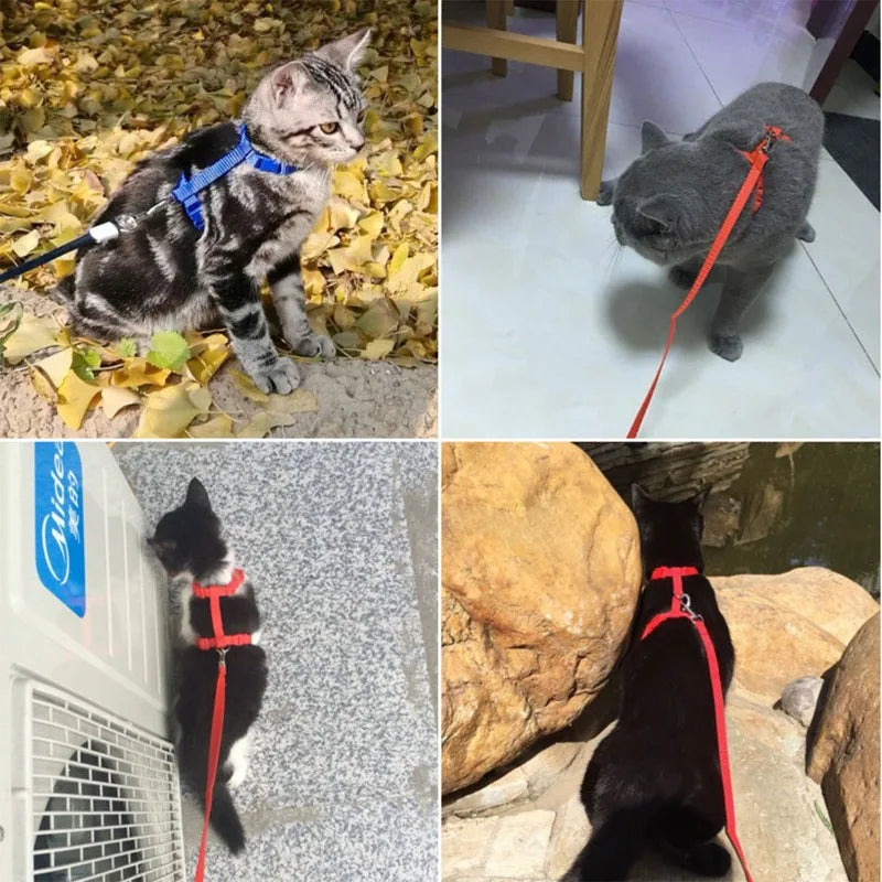 Cat Harness and Leash Adjustable Halter Harness with Nylon Strap, Safety Rope Leads for Kittens Comfortable Escape-Proof Design