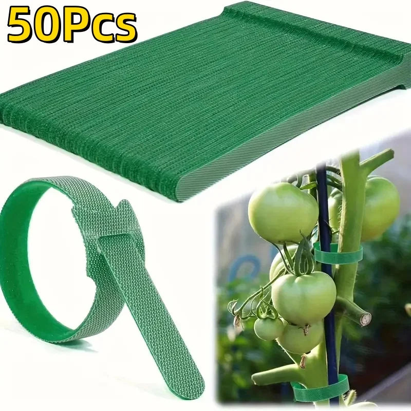 Reusable Nylon Plant Ties – Adjustable Non-Slip Supports for Climbing Plants & Gardening (50/100 Pack)
