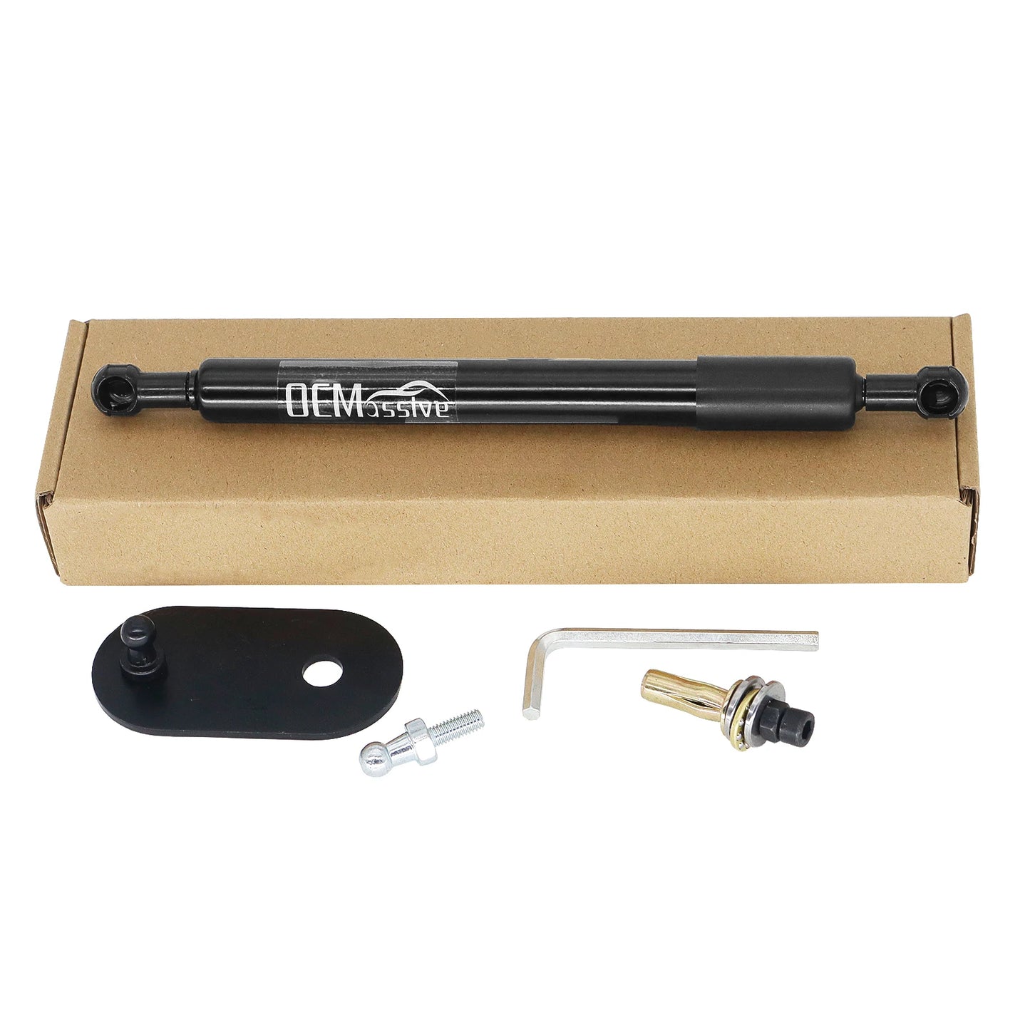 Tailgate Assist Shock Strut - Dodge RAM 1500/2500/3500 2009-2019