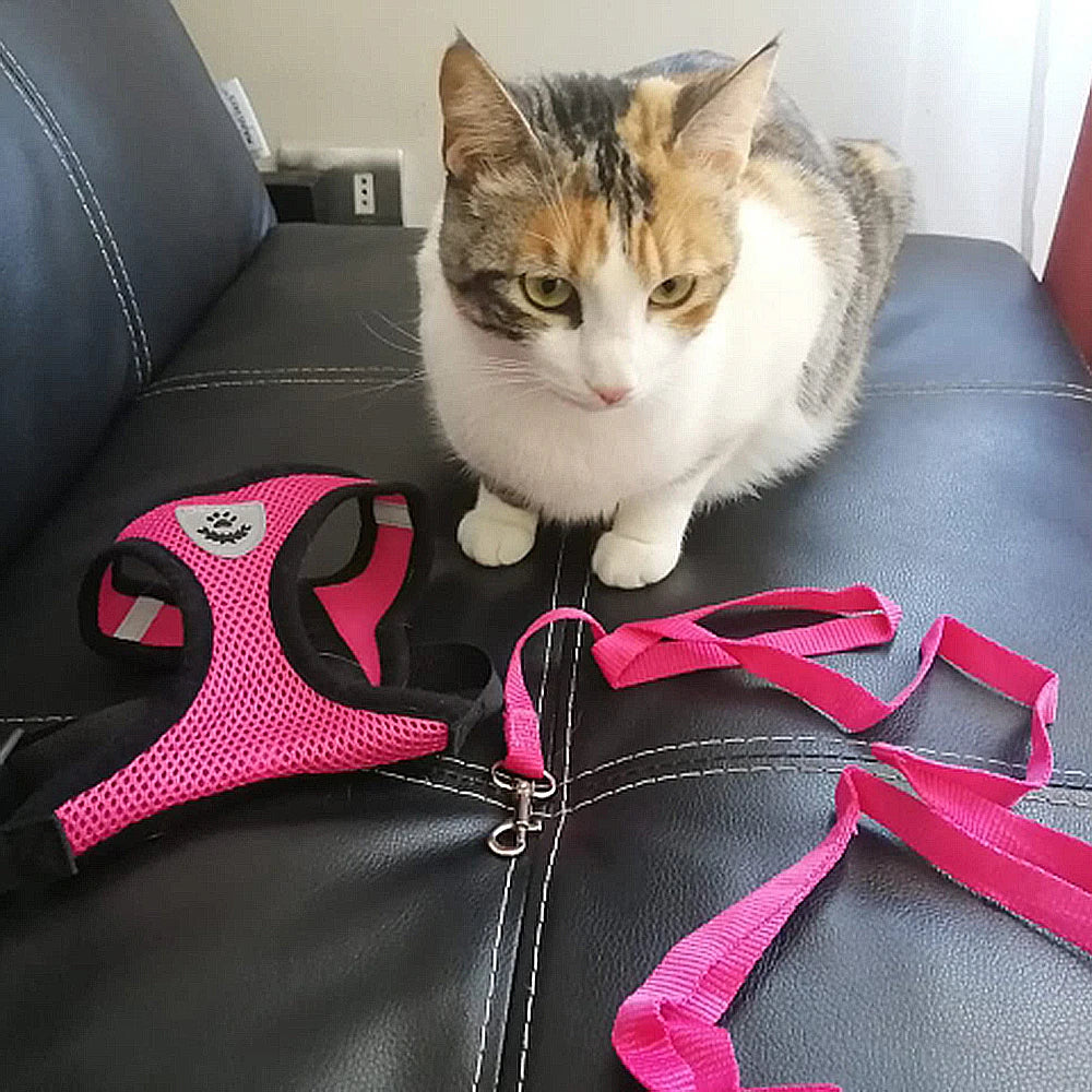 Adjustable Mesh Harness and Leash for Small Dogs and Cats, Reflective