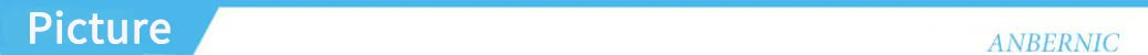 Anbernic RG556 Handheld Game Console Unisoc T820 Android 13 5.48 inch AMOLED Screen 5500mAh WIFI Bluetooth Retro Video Players