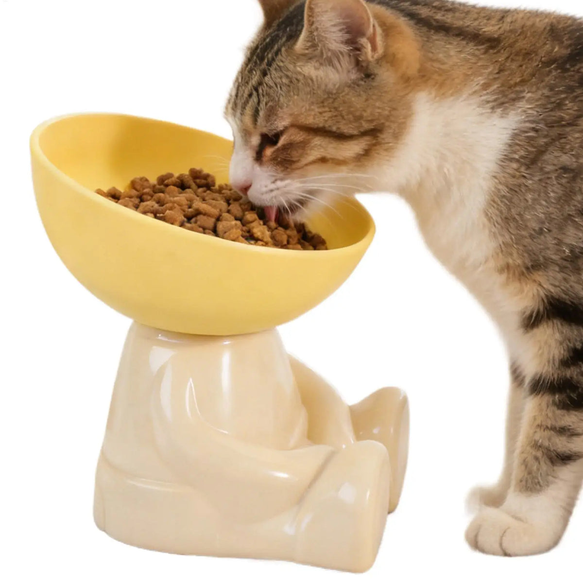 Raised Cat Feeding Bowl - Non-Slip Elevated Food Dish