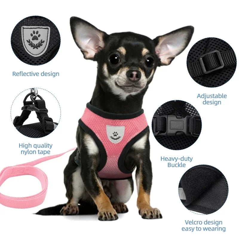 Adjustable Mesh Harness and Leash for Small Dogs and Cats, Reflective