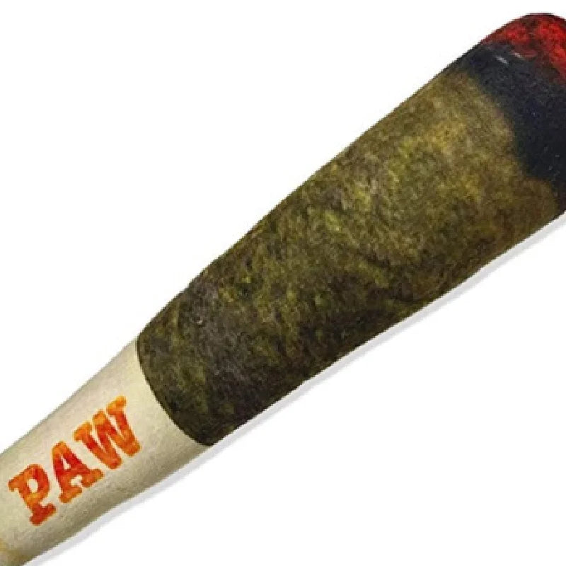 Squeaky Plush Cigar Dog Toy