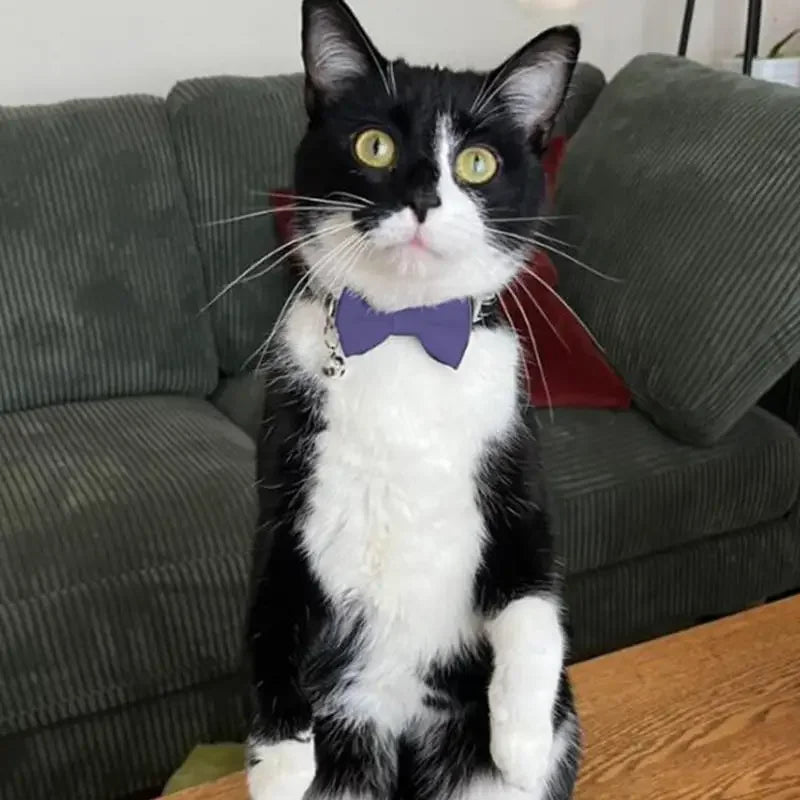 1Pcs/2Pcs Cat Collar with Bell Bow Tie Velvet & Fabric Adjustable Safety Collar for Small Dogs Kittens Pet Supplies