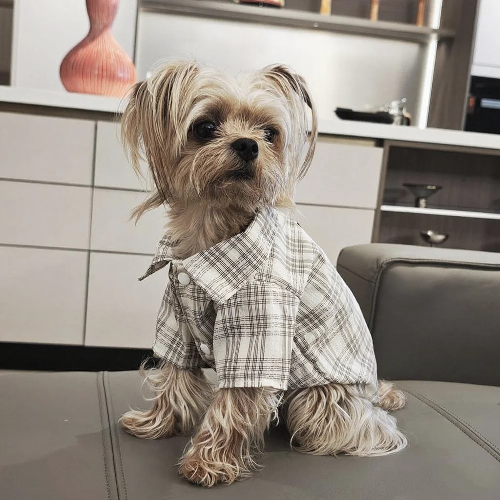 Plaid Dog Shirt - Spring Summer Button Shirt for Small Dogs & Cats - photo 2