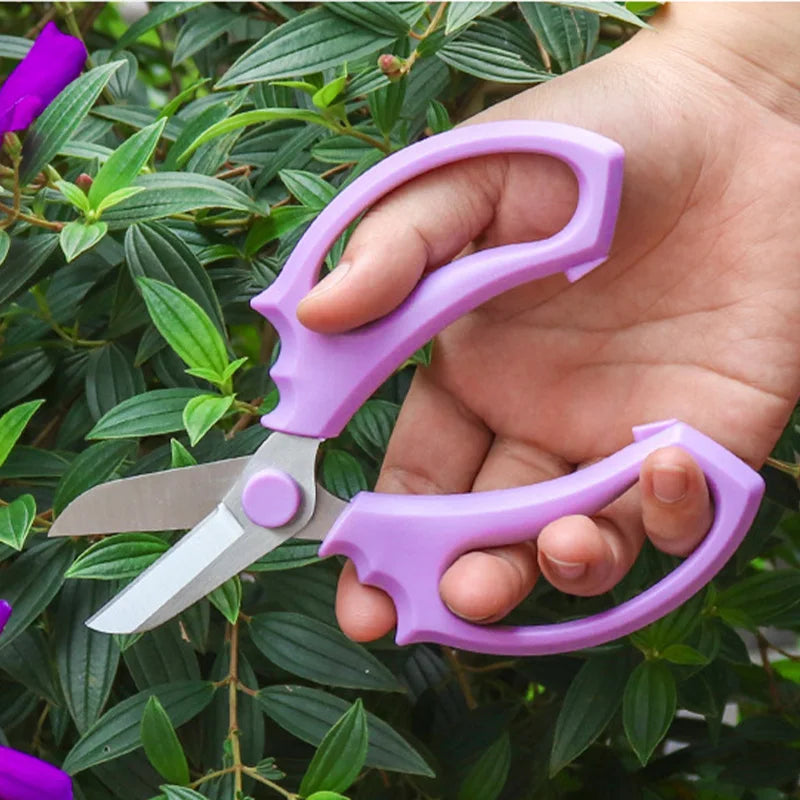 Professional Bonsai & Garden Scissors – PTFE Bypass Pruning Shears with Ergonomic Grip | Floral & Plant Pruner