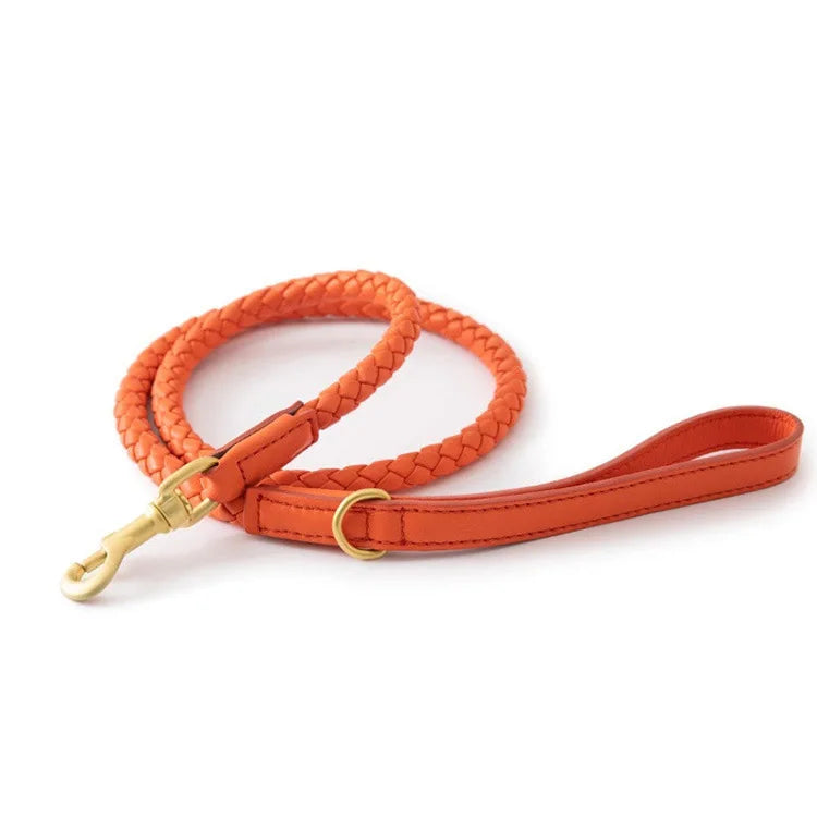 Braided Dog Leash & Collar - Adjustable Walking Rope for Small Dogs - photo 12