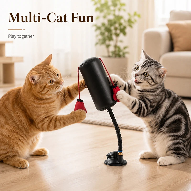 Cat Boxing Toy - Multifunctional Self-Play Game – photo 2