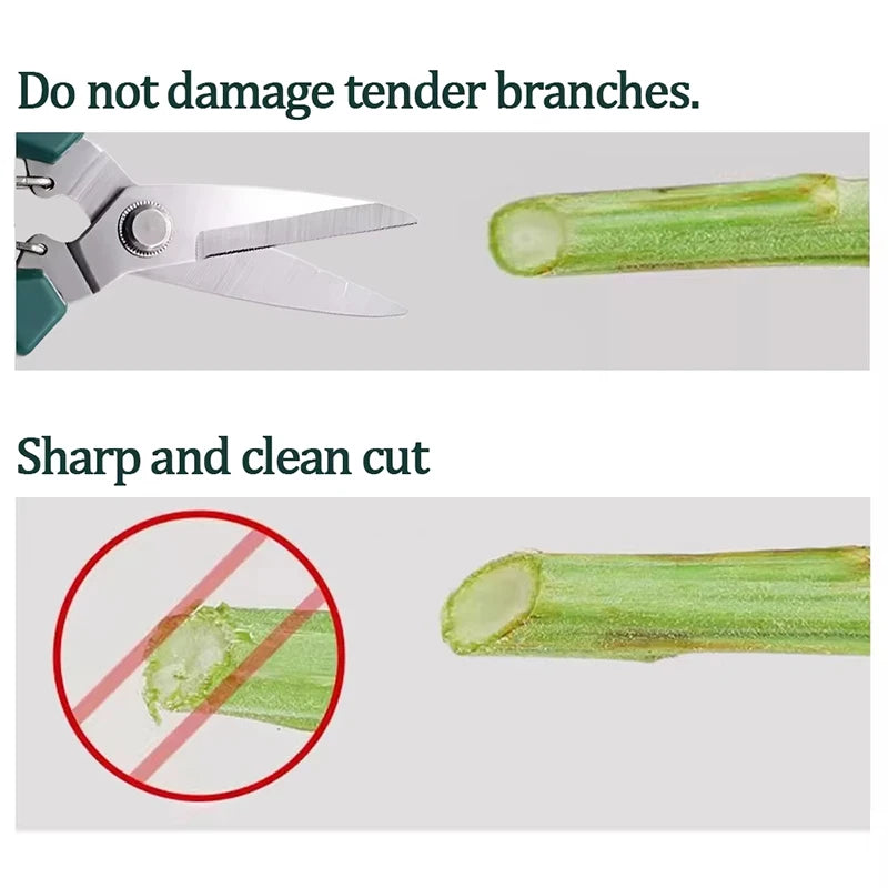 Garden Pruning Shears – Straight-Head Non-Slip Stainless Steel Bonsai & Household Scissors