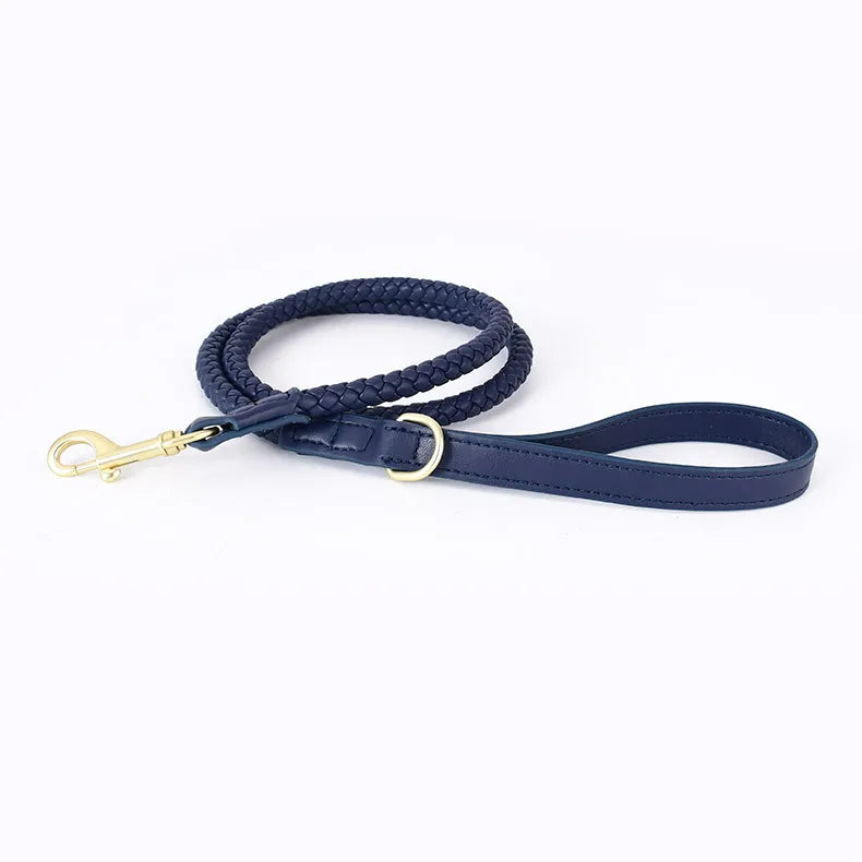 Braided Dog Leash & Collar - Adjustable Walking Rope for Small Dogs - photo 13