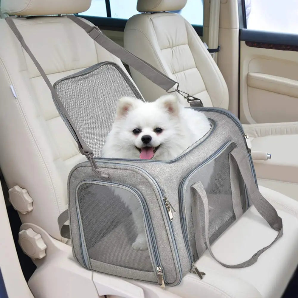 Soft-Side Dog Carrier Bag & Backpack – Airline Approved Pet Travel Bag for Small Dogs & Cats | M & L (Black, Gray)