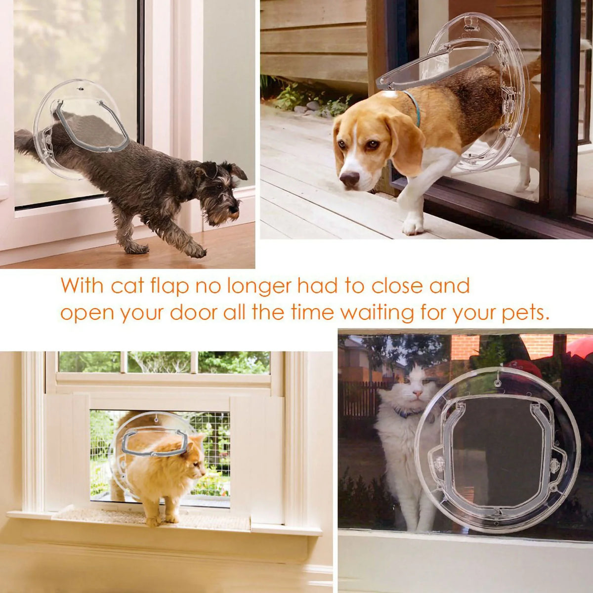 4-Way Lock Cat Door - Interior Pet Flap for Cats & Puppies – photo 4
