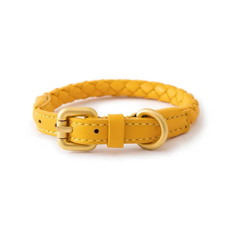 Braided Dog Leash & Collar - Adjustable Walking Rope for Small Dogs - photo 9