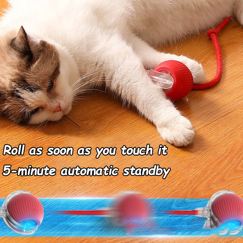 Automatic Rolling Cat Ball with Faux Tail, Rechargeable