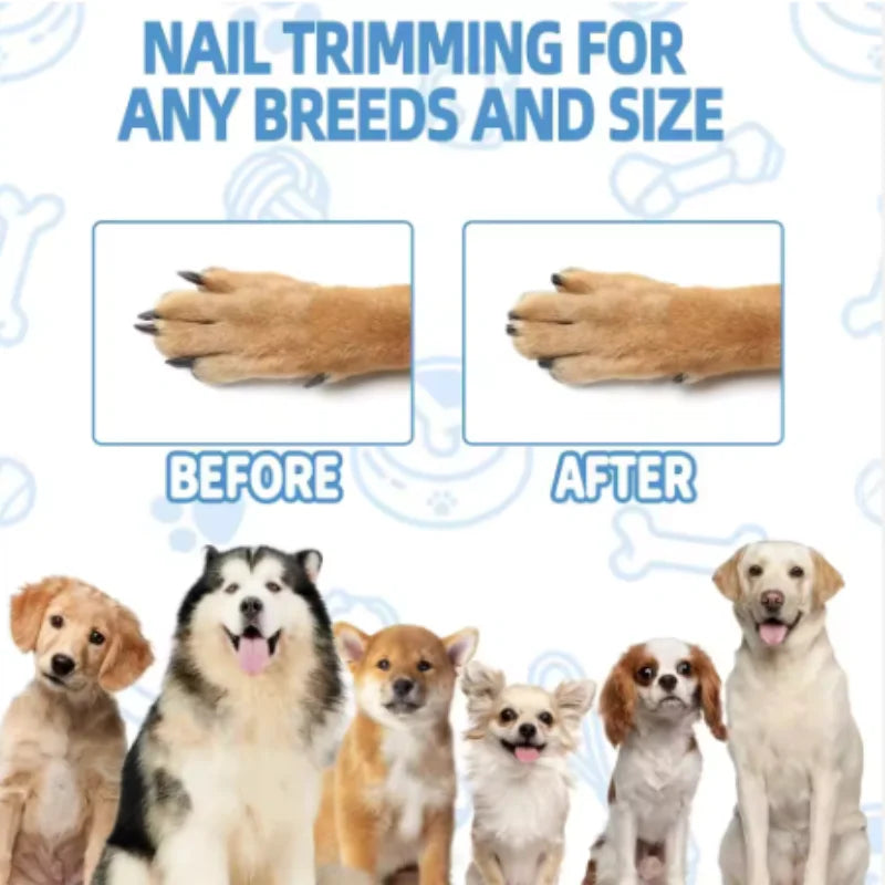 Wooden Dog Nail Scratch Board with Treat Box