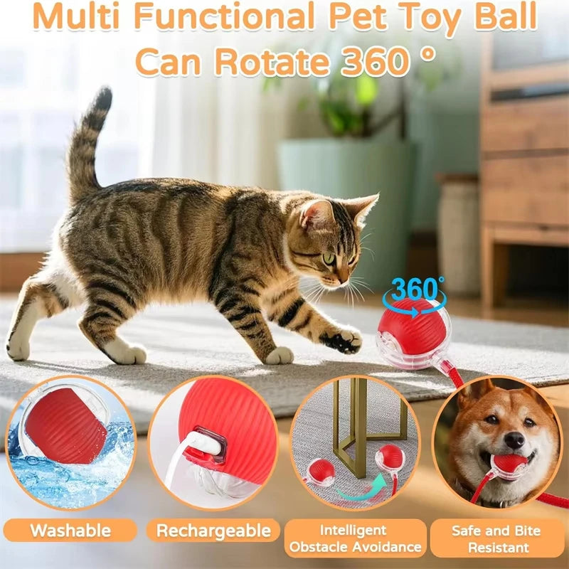 Automatic Rolling Cat Ball with Faux Tail, Rechargeable