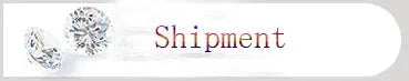 925 Sterling Silver Zircon Charm Bracelet – Snake Chain Bangle for Women | 5 Styles, 16–23cm