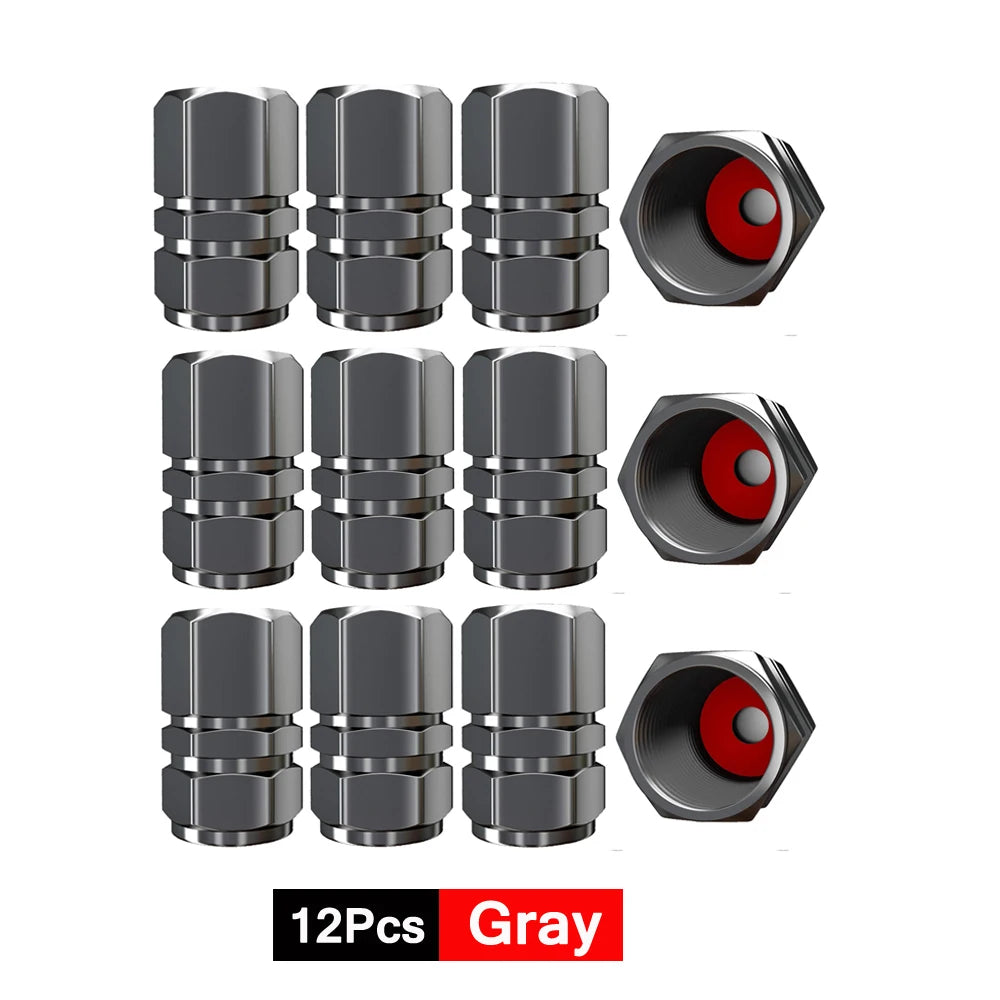 DSYCAR 12Pcs Universal Car Moto Bike Tire Wheel Valve Cap Cover Car Styling for Fiat Audi Ford Bmw Toyota VW Lada Opel Kia