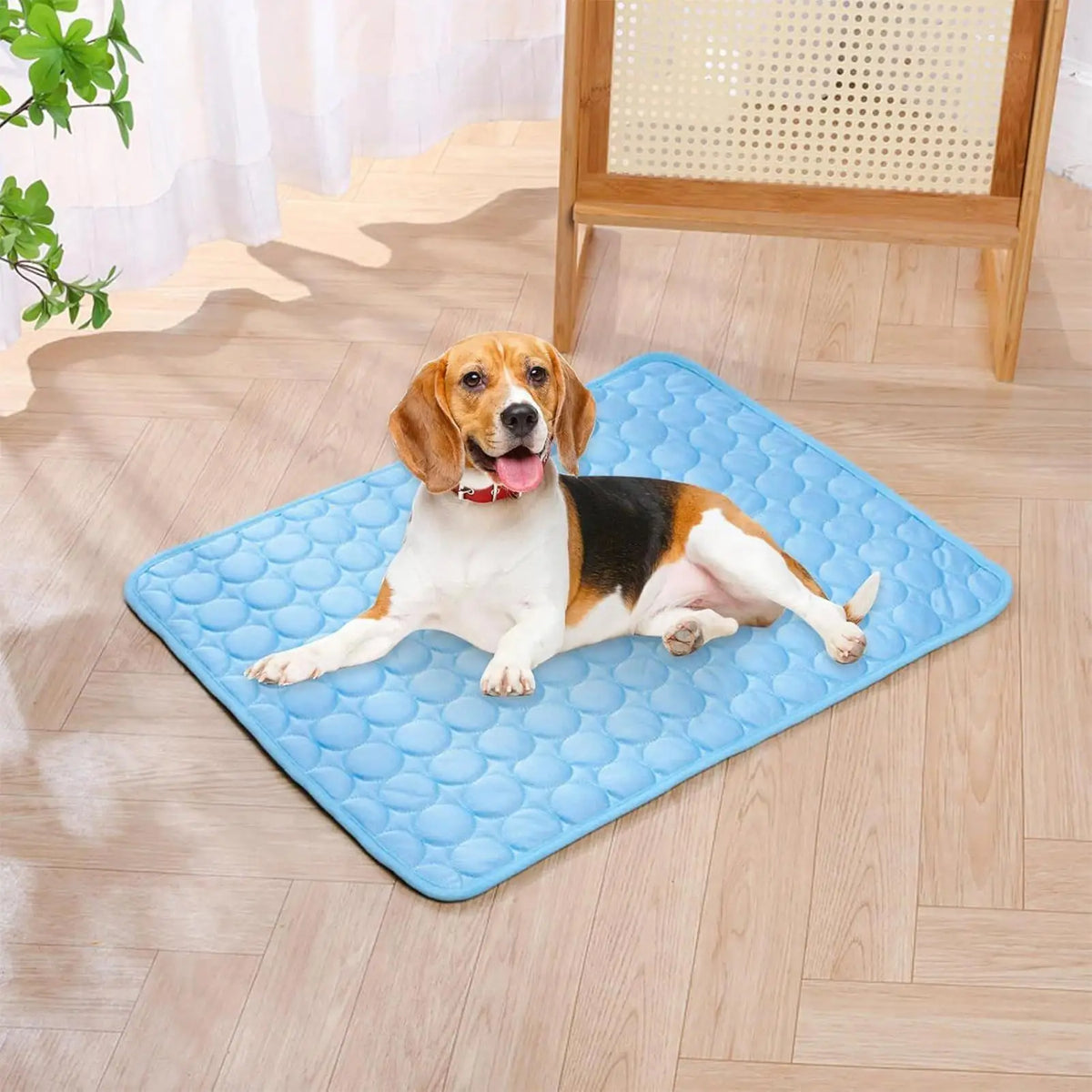 Ice-Silk Dog Cooling Mat - Sofa, Crate, Car & Beach Pad – photo 3