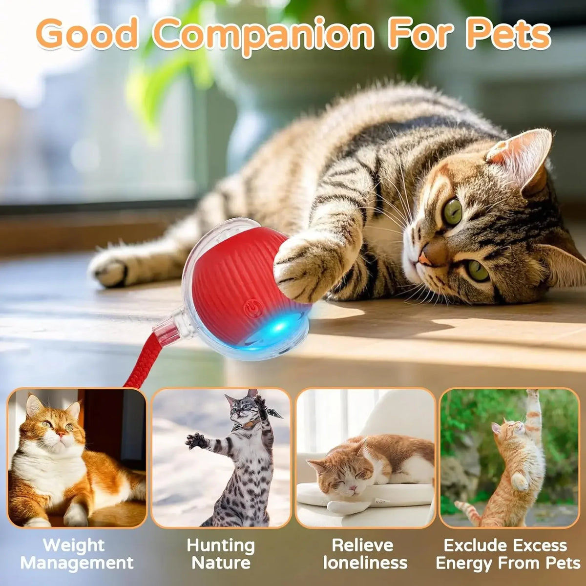 Automatic Rolling Cat Ball Toy with Tail, Rechargeable