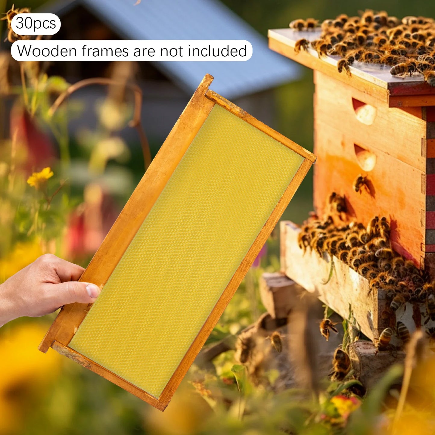 30-Pack Natural Beeswax Hive Foundation Sheets — Beekeeper Starter Kit