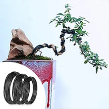 Bonsai Tools Kit- 24 PCS Bonsai Tree Kit Tools for Beginners,  Complete Set for Bonsai Tree Care, Pruning, and Shaping