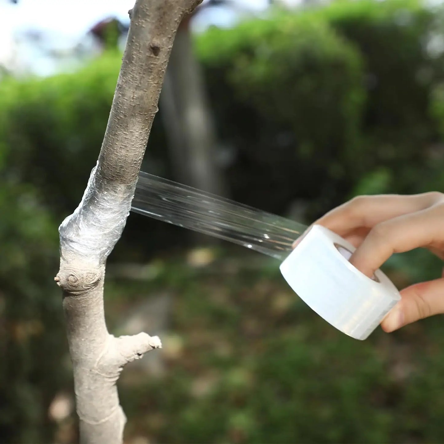 200m Biodegradable Grafting Tape – Eco-Friendly Stretch Graft Binding Film for Plants & Trees