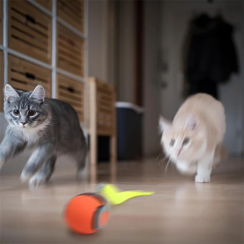 Smart Electric Rolling Cat Toy Ball – USB Rechargeable Automatic Interactive Teaser | Moving Bouncing Ball for Cats