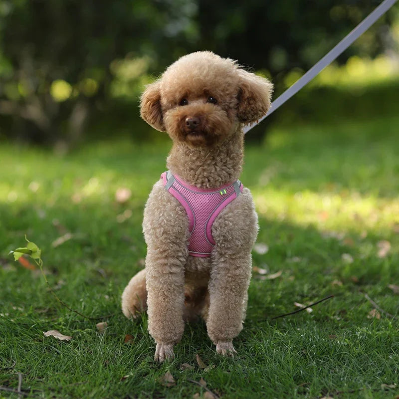 Puppy Harness Set Dog Accessories Adjustable Puppy and Cat Harness Vest French Bulldog Chihuahua Small Dog Collar Pet Leash Dogs