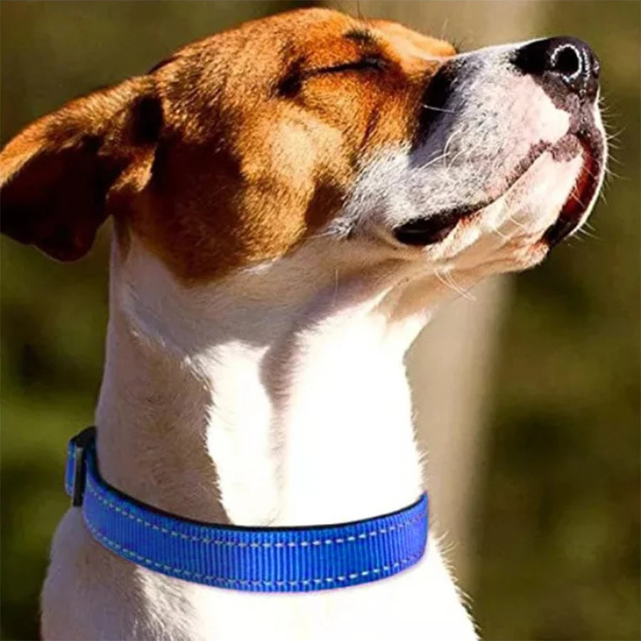 Padded Reflective Puppy Collar - Safety Stripes – photo 4
