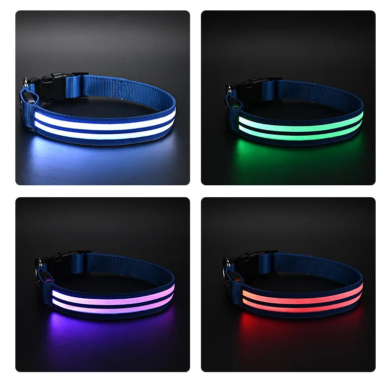 LED Light Up Dog Collar – Rechargeable Glowing Safety Collar for Night Walks | Color LED Pet Necklace with Harness & Leash Ring