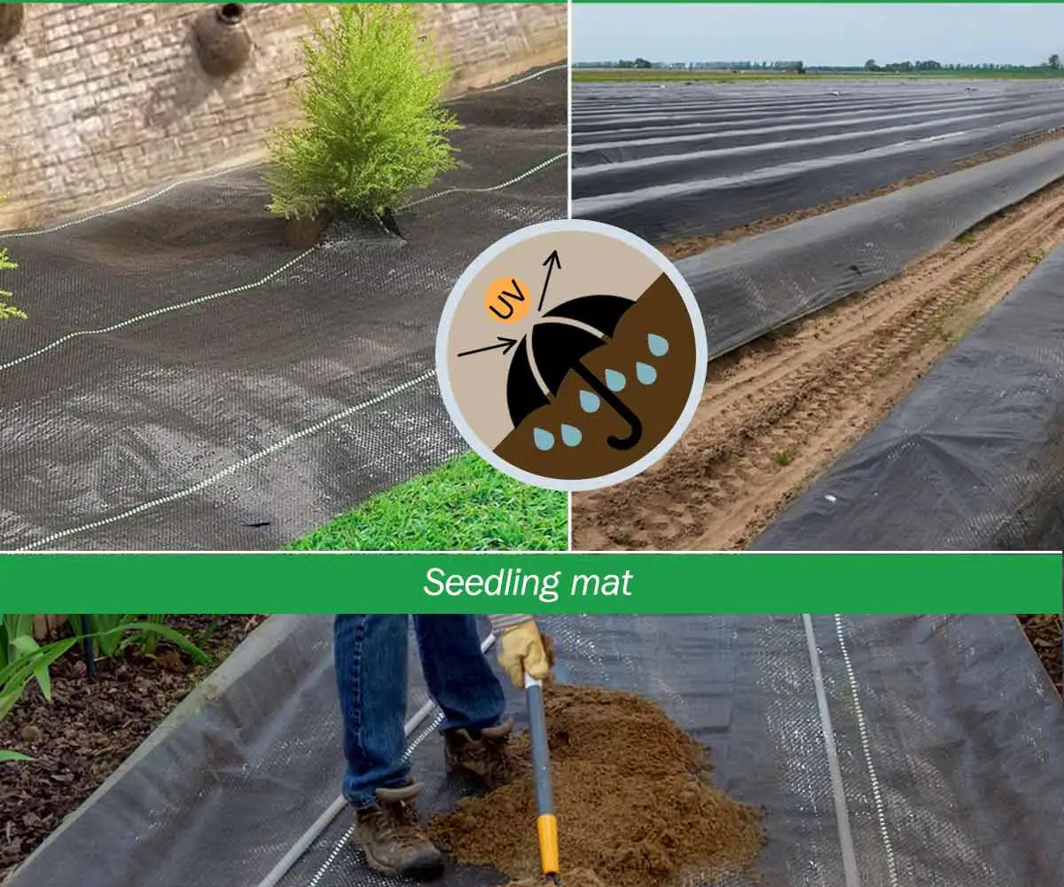 PP Woven Weed Control Fabric for Plant Anti Grass Agricultural Mulch Cloth Greenhouse Weeding Mat Water Permeable Ground Cover