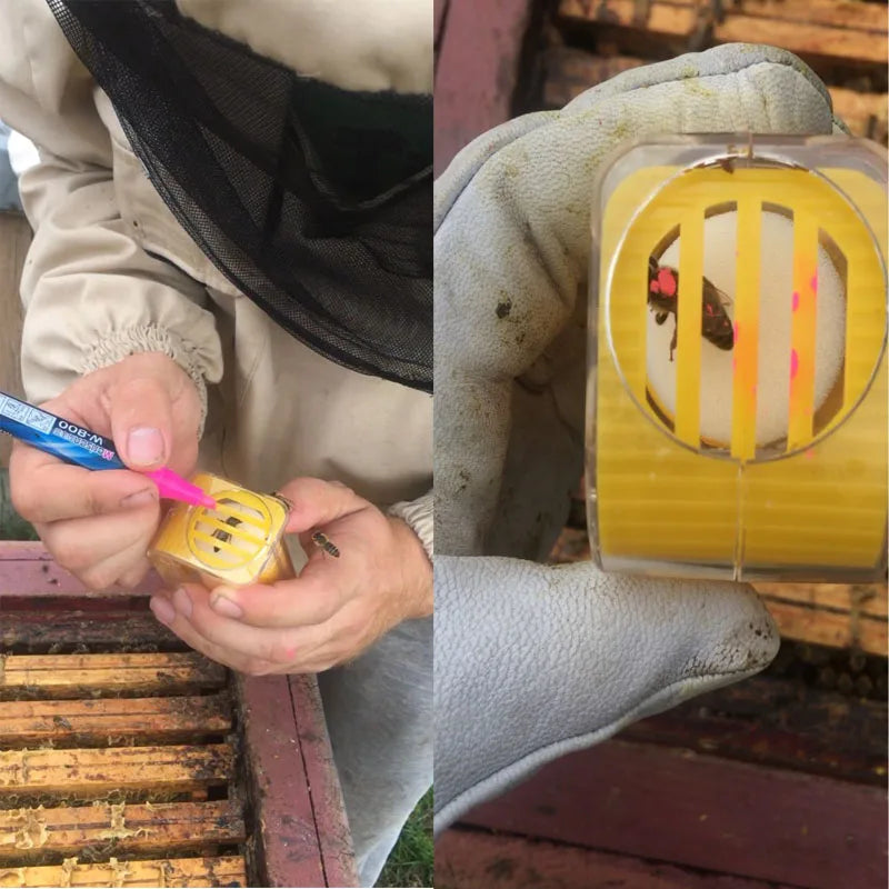 Bee Queen Marking Bottle Bee Mark Cage Plastic One Handed Marking Catcher With Plunger Plush Garden Beekeeping Supplies Tools
