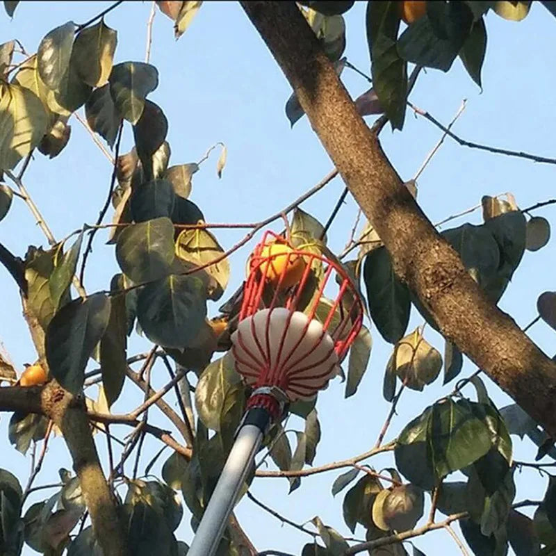 Fruit Picking Machine – Practical Handheld Fruit Catcher & Collection Device | Gardening Tool