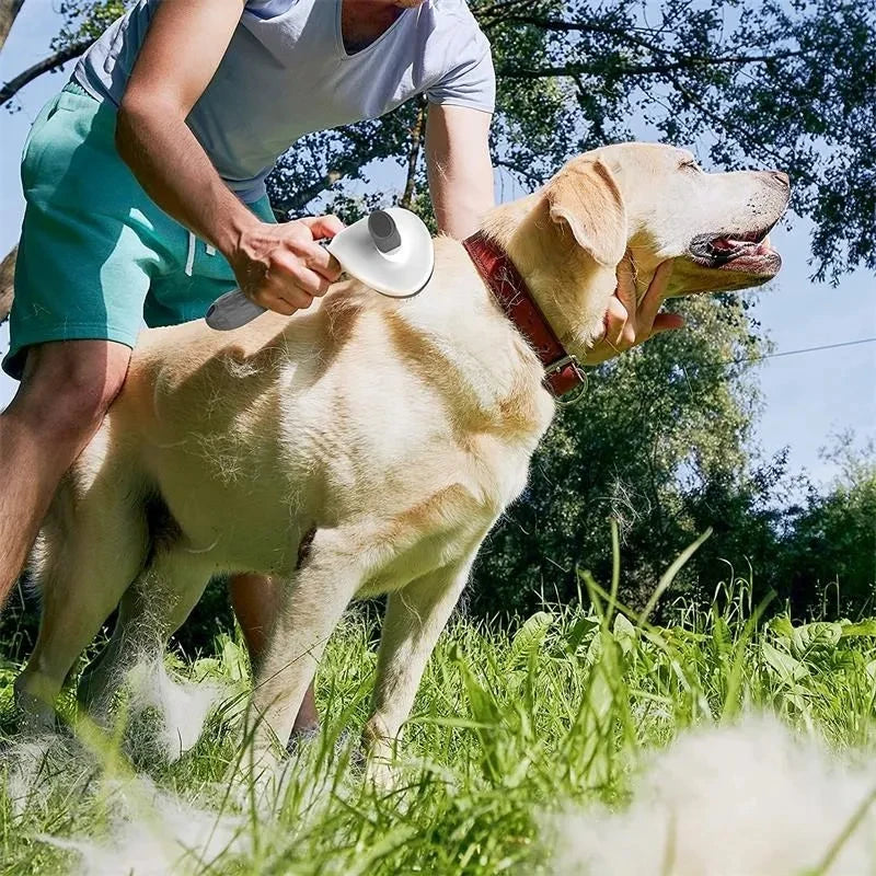 Self-Cleaning Slicker Brush for Dogs and Cats, Pet Hair Remover