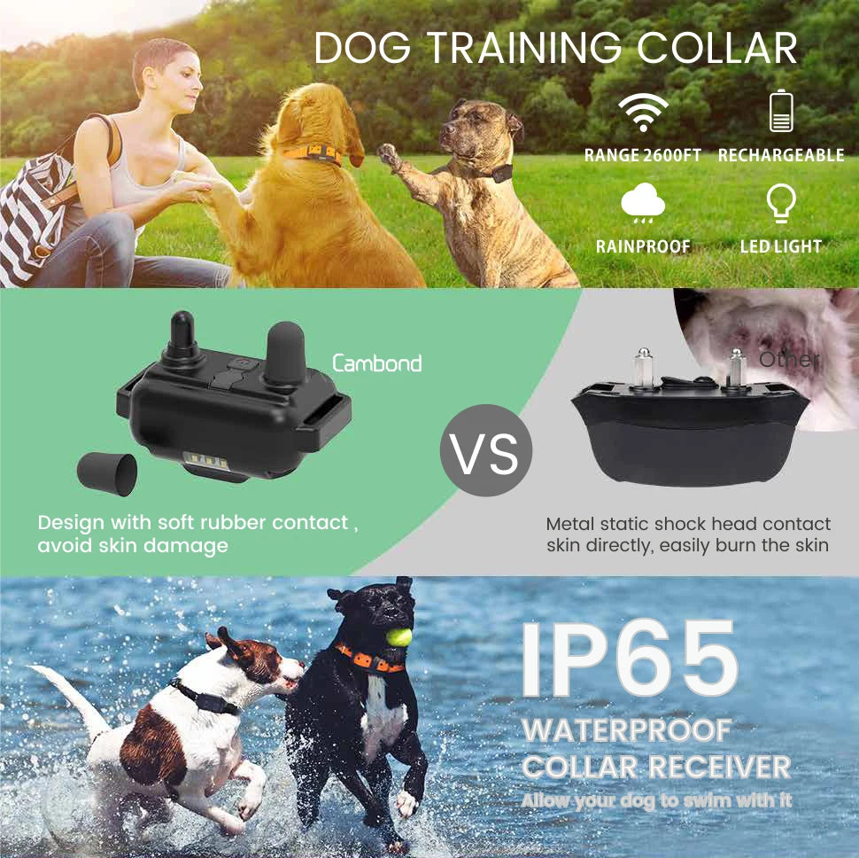 Electric Waterproof Dog Training Collar – Rechargeable Remote Anti-Bark Device | For 1, 2 or 3 Dogs