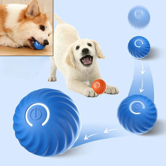 USB Auto-Bouncing Dog Ball - Rolling Smart Puppy Toy