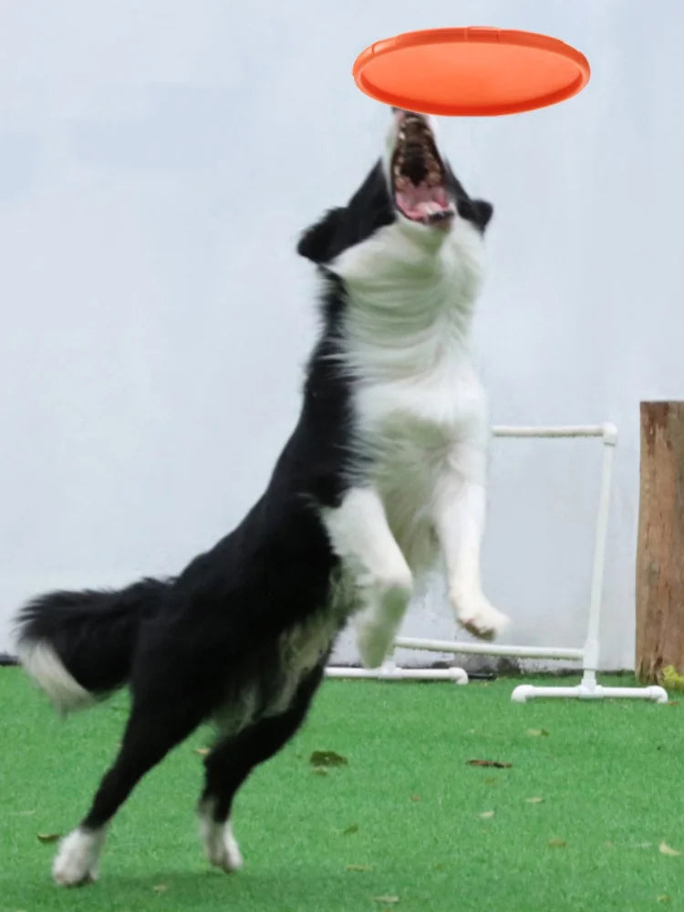 Soft Silicone Flying Disc Dog Toy for Fetch and Training