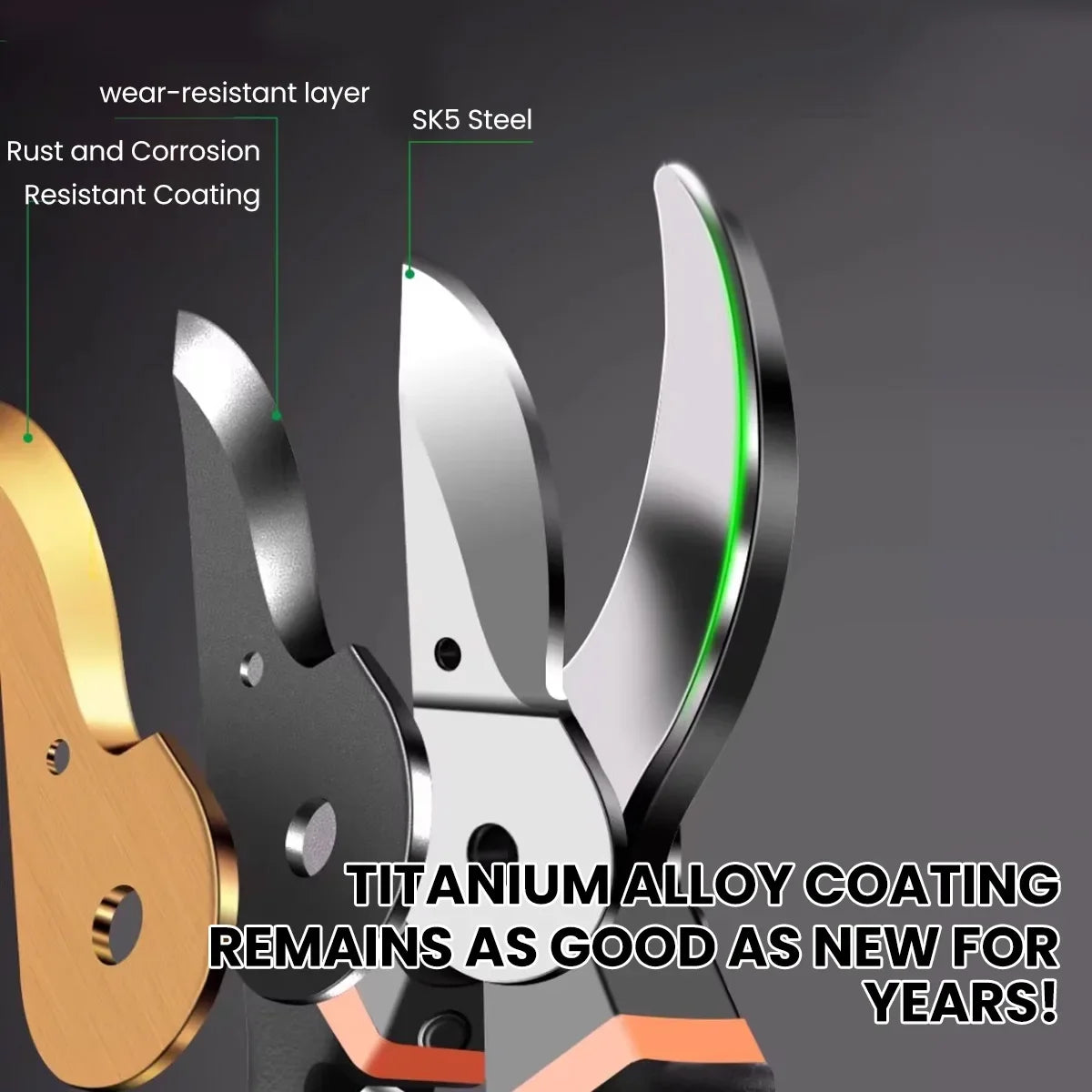 AIRAJ 8.5" Pruner Shears SK5 Blade – Bypass Pruning Scissors for Bonsai, Fruit Trees & Flowers