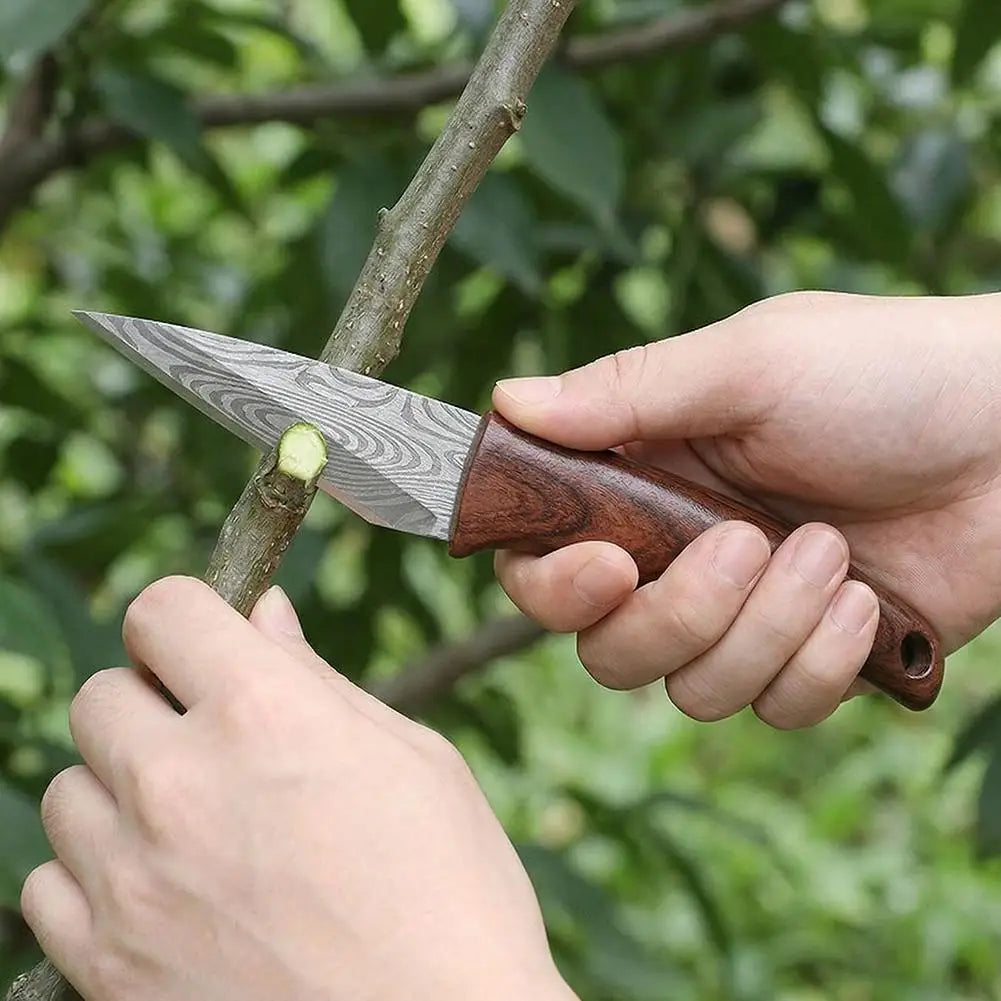 Grafting Knife with Leather Sheath — Wooden Handle Budding Tool