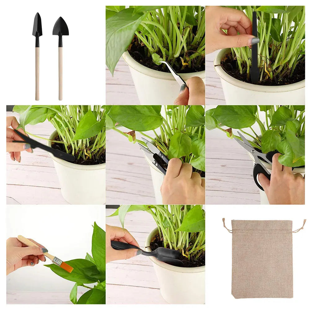 13-Piece Mini Garden Tool Set – Shovel, Rake & Bonsai Tools for Succulents & Potted Plants