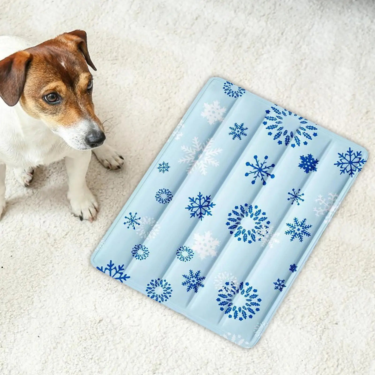 Small Dog Cooling Mat 30 x 40 cm - Reusable Ice Bed – photo 2
