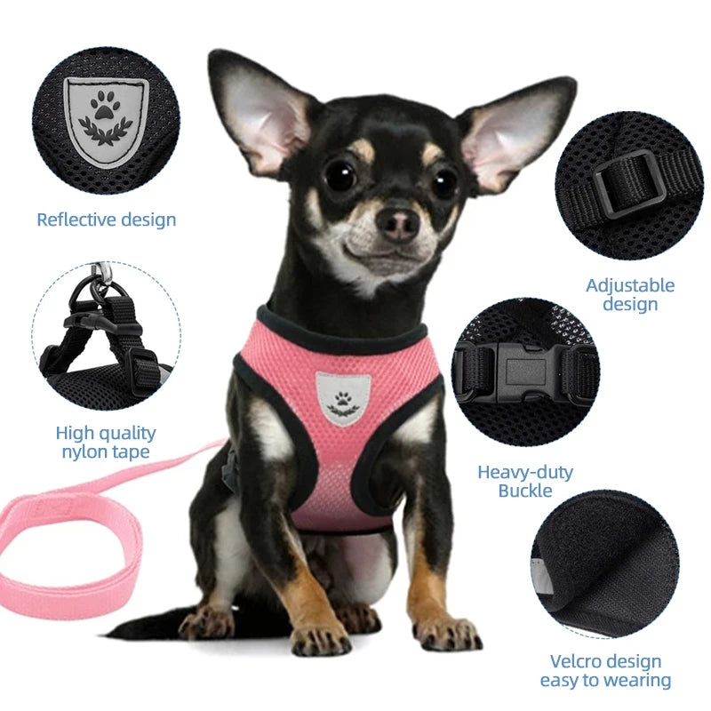 Adjustable Mesh Harness and Leash for Small Dogs and Cats, Reflective