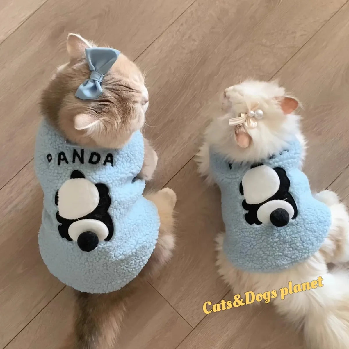 Soft Cozy Cat Sweater - Warm Winter Pullover for Cats and Sphynx - photo 2