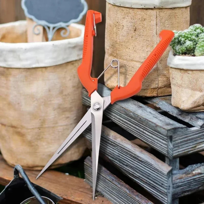 Pruning Shears Grape Scissors Garden Tool Vegetable Patch Bonsai Professional  Stainless Steel Fruit Picking With Lock New