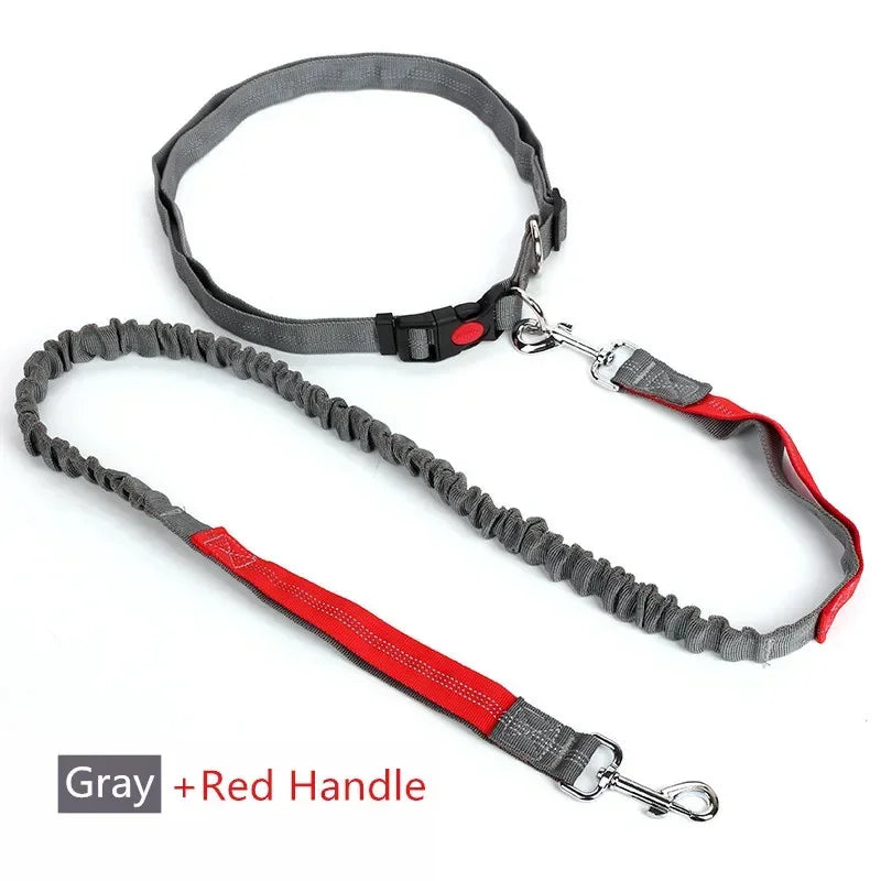 Hands-Free Retractable Dog Leash with Waist Belt – photo 10