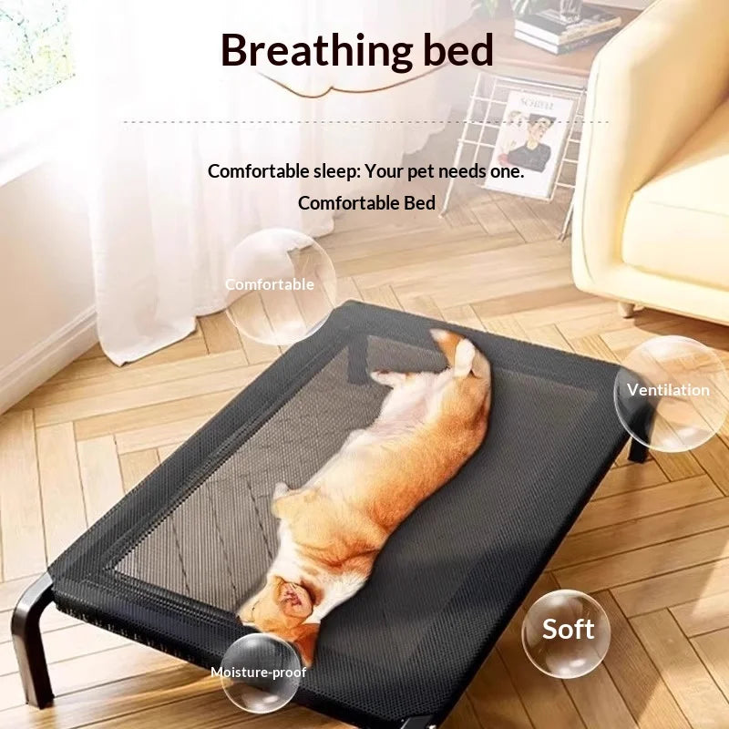 All-Season Elevated Pet Bed - Moisture-Proof Raised Cot – photo 3