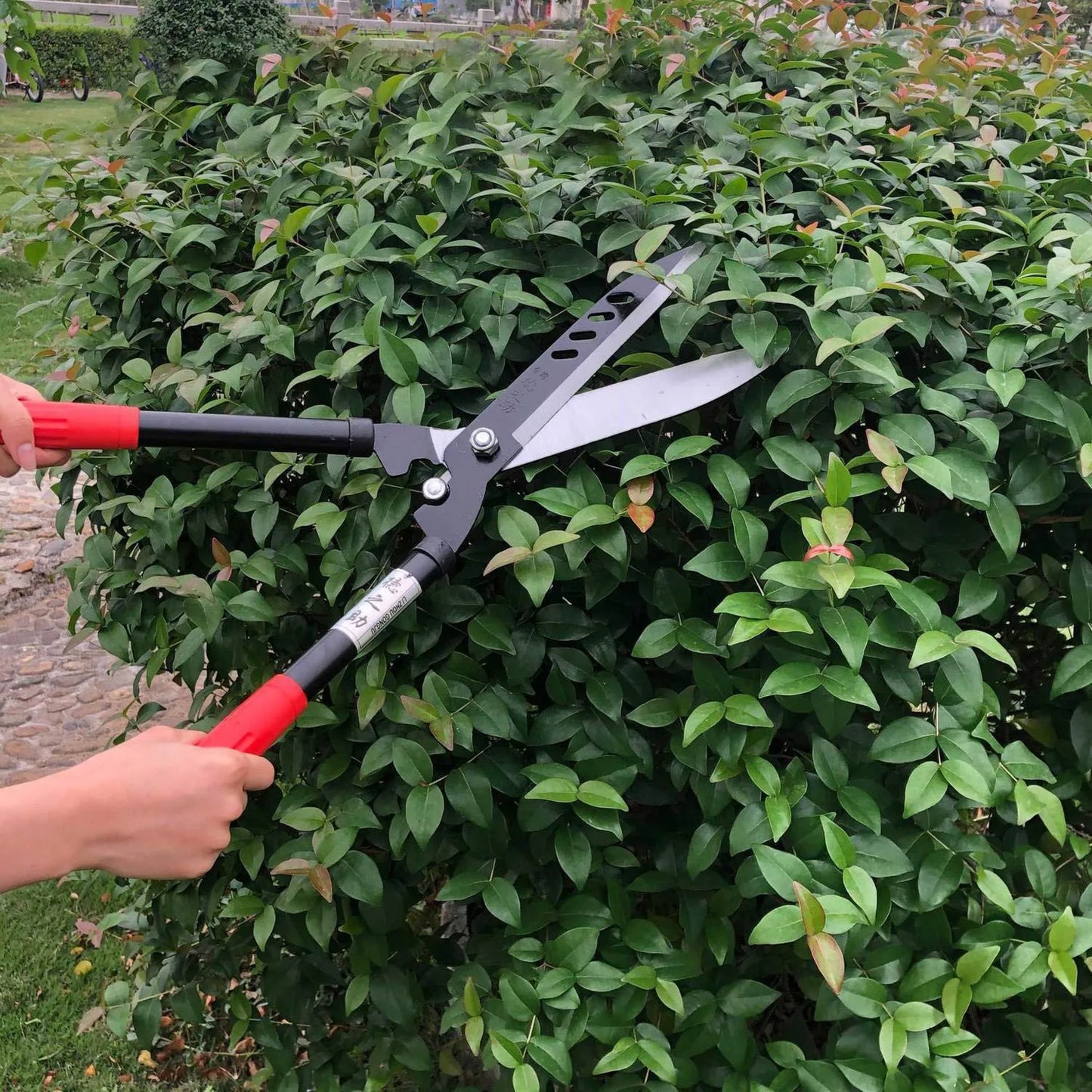 Professional Garden Hedge Lopper — Long-Reach Bypass Pruner