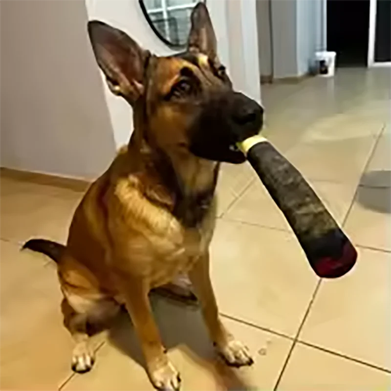 Funny Cigar Plush Dog Toy - Stuffed Squeaky Birthday Gift - photo 6